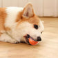 🎁Interaktivní míček Smart Pet Bounce🐶